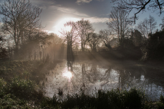 Morning Reflections