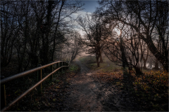 Misty Pathway