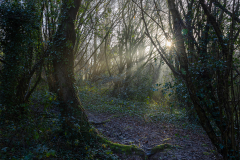Breaking Through