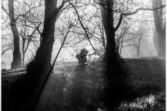 Photographer In The Mist