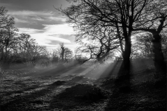 Suns Rays Casting Long Shadows