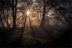 Photographer in the Mist
