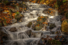 Autumn Stream