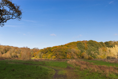 Porthkerry Park