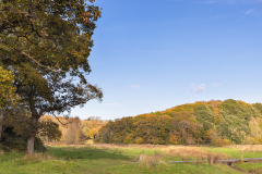Porthkerry Park