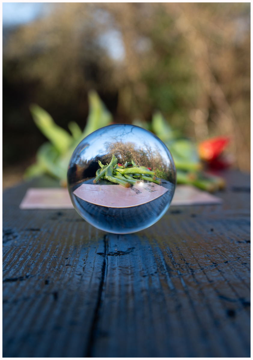 Seeking inspiration through the crystal ball (copyright Stephen Tippins) Testing my Christmas raffle prize